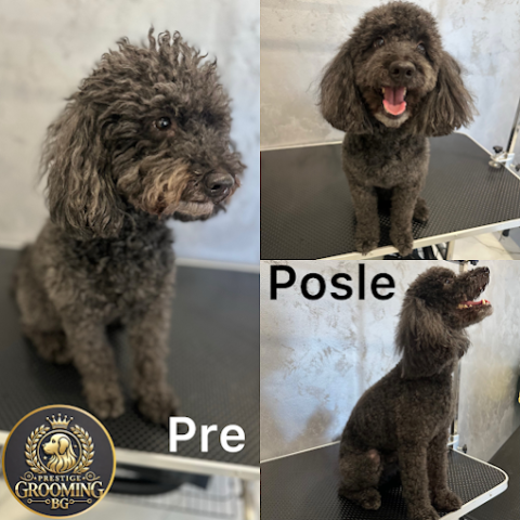 Pansioni za pse Prestige grooming